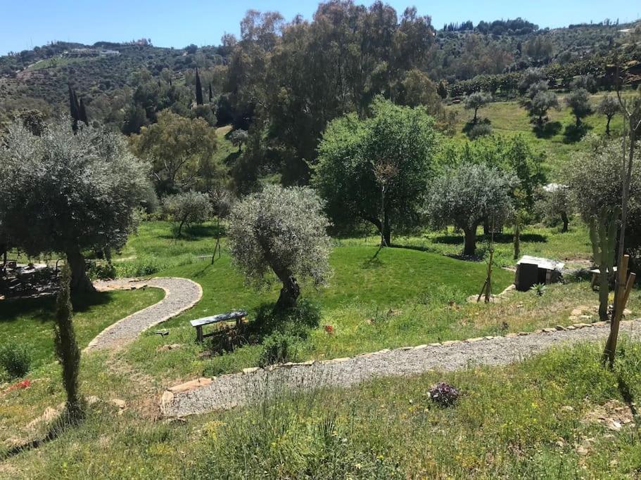 Penthouse Apartment, Cortijo Fruitful Hills 马拉加 外观 照片