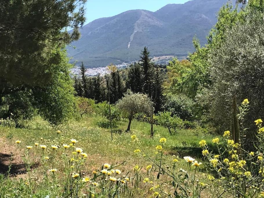 Penthouse Apartment, Cortijo Fruitful Hills 马拉加 外观 照片