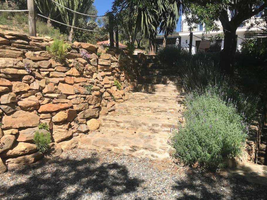 Penthouse Apartment, Cortijo Fruitful Hills 马拉加 外观 照片