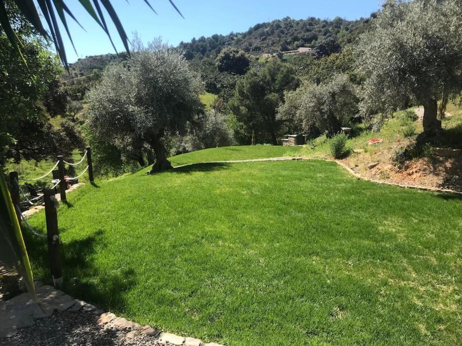 Penthouse Apartment, Cortijo Fruitful Hills 马拉加 外观 照片