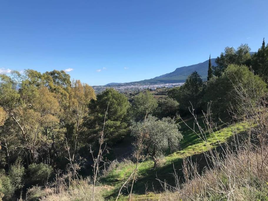 Penthouse Apartment, Cortijo Fruitful Hills 马拉加 外观 照片