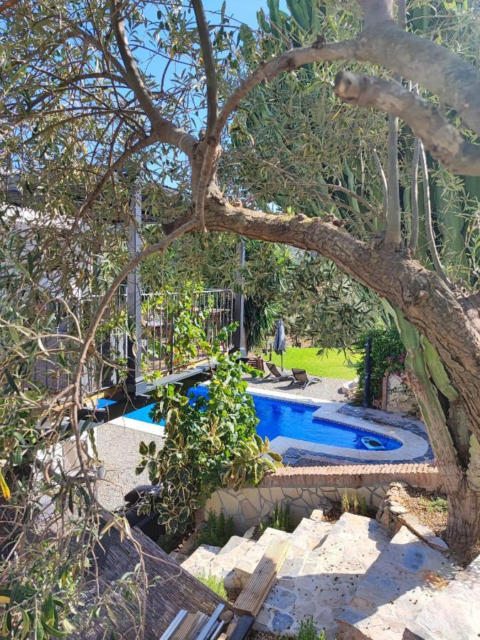 Penthouse Apartment, Cortijo Fruitful Hills 马拉加 外观 照片