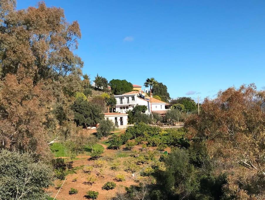 Penthouse Apartment, Cortijo Fruitful Hills 马拉加 外观 照片